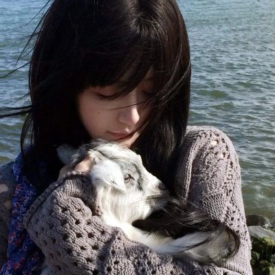 甜梦猫